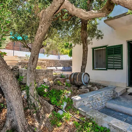 14 Semesterbostad Podgora (Split-Dalmatia)